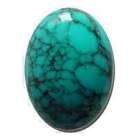 the birthstone for December is Turquoise